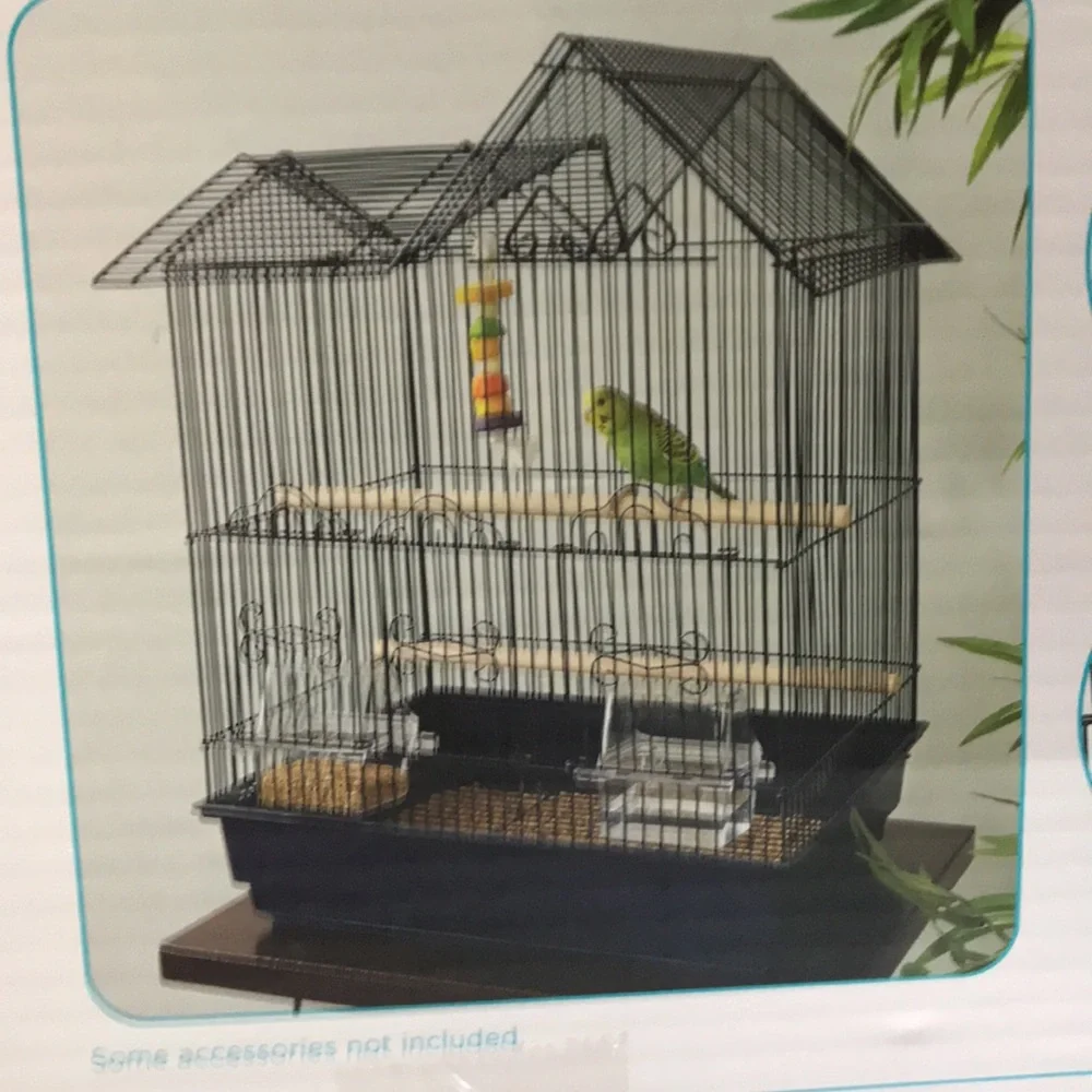 You you & Me parakeet habit